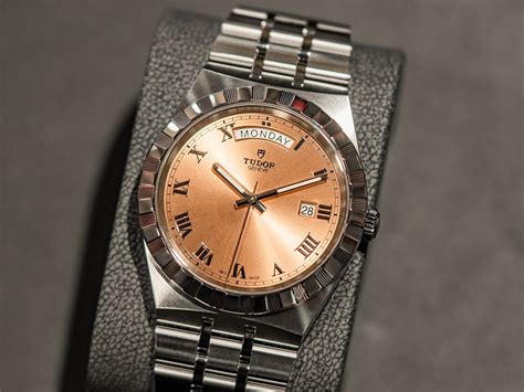 tudor salmon|tudor royal watch 36mm.